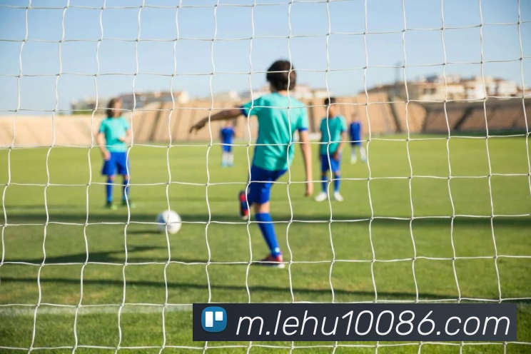 乐虎体育APP 高清赛事图